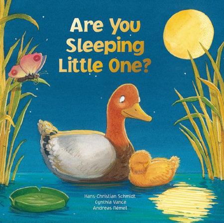 Are You Sleeping Little One Board Book by Hans-Christian Schmidt; Andrea Német