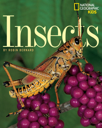 Insects Paperback by Robin Bernard