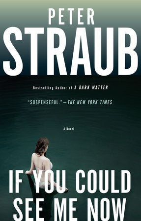 If You Could See Me Now Paperback by Peter Straub
