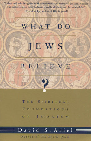 What Do Jews Believe? Paperback by David Ariel