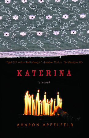Katerina Paperback by Aharon Appelfeld