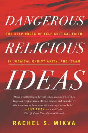 Dangerous Religious Ideas TR by Rachel S. Mikva