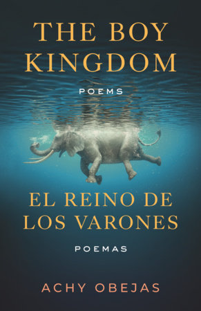 The Boy Kingdom / El reino de los varones Paperback by Achy Obejas