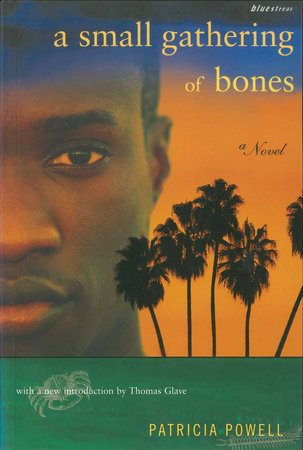 A Small Gathering of Bones Paperback by Patricia Powell