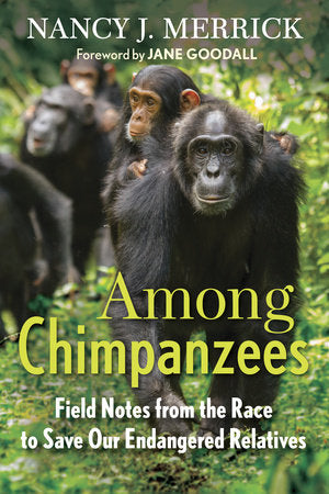 Among Chimpanzees Hardcover by Nancy J. Merrick