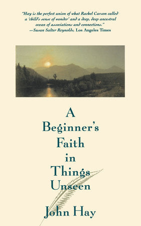 A Beginner's Faith in Things Unseen Paperback by John Hay