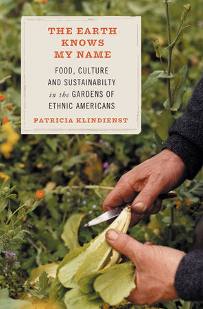 The Earth Knows My Name Paperback by Patricia Klindienst