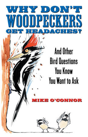 Why Don't Woodpeckers Get Headaches? Paperback by Mike O'Connor