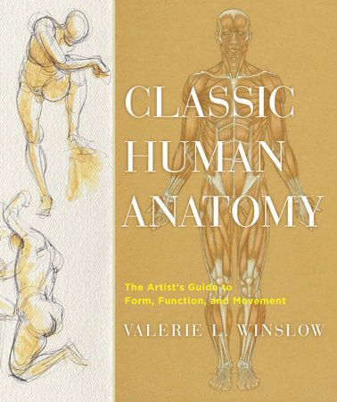 Classic Human Anatomy Hardcover by Valerie L. Winslow