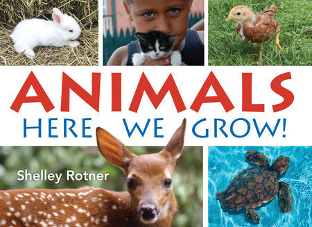 Animals! Paperback by Shelley Rotner