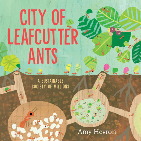 City of Leafcutter Ants Hardcover by Amy Hevron