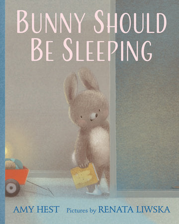 Bunny Should Be Sleeping Hardcover by Amy Hest; illustrated by Renata Liwska
