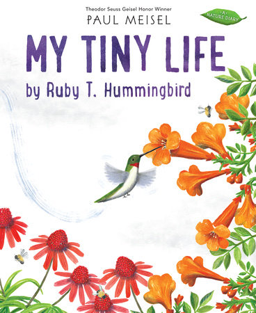 My Tiny Life by Ruby T. Hummingbird TR by Written & illustrated by Paul Meisel