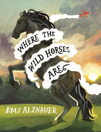Where the Wild Horses Are Hardcover by Amy Alznauer