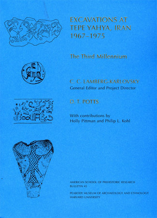 The Third Millennium Paperback by D. T. Potts
