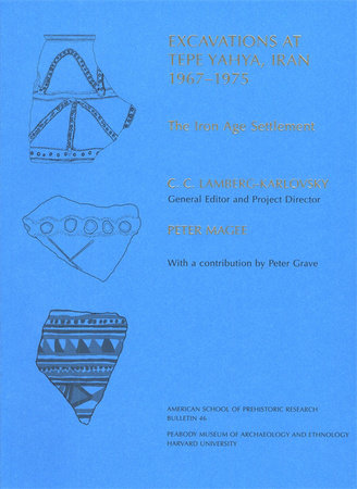 The Iron Age Settlement Paperback by Peter Magee