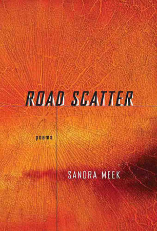 Road Scatter Paperback by Sandra Meek