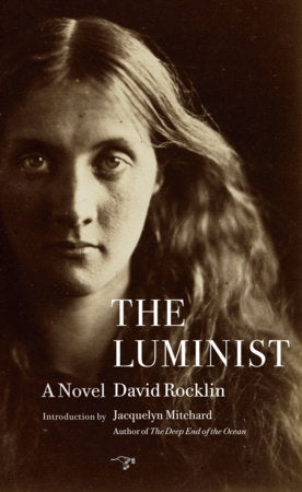 The Luminist Paperback by David Rocklin