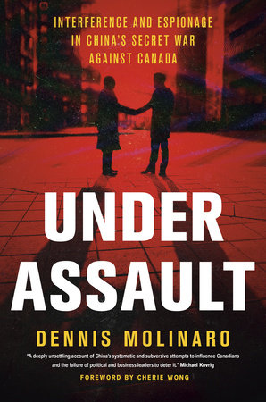 Under Assault Hardcover by Dennis Molinaro With a foreword by Cherie Wong