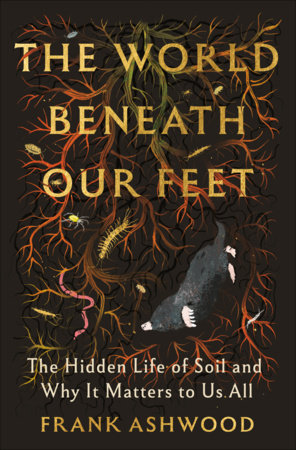 The World Beneath Our Feet Hardcover by Frank Ashwood