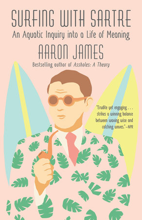 Surfing with Sartre Paperback by Aaron James