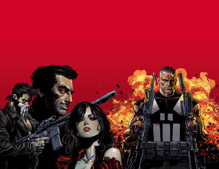 Marvel Knights: Punisher Paperback by Jimmy Palmiotti