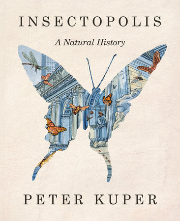Insectopolis Hardcover by Peter Kuper