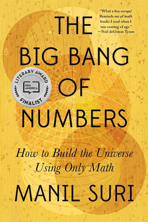The Big Bang of Numbers Paperback by Manil Suri