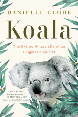 Koala TR by Danielle Clode