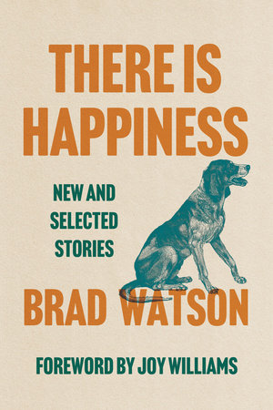 There Is Happiness Paperback by Brad Watson