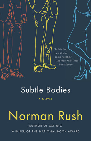 Subtle Bodies Paperback by Norman Rush