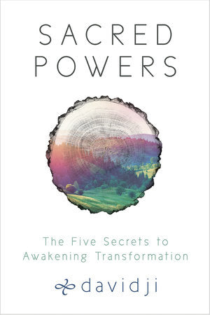 Sacred Powers Paperback by davidji