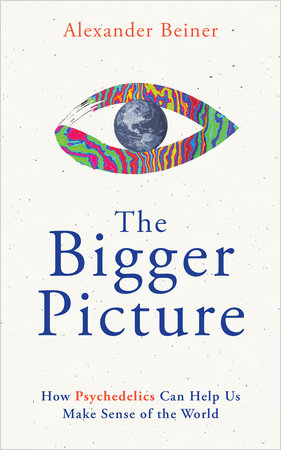 The Bigger Picture Paperback by Alexander Beiner
