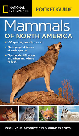 National Geographic Pocket Guide to the Mammals of North America Paperback by Catherine H. Howell