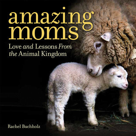 Amazing Moms Hardcover by Rachel Buchholz