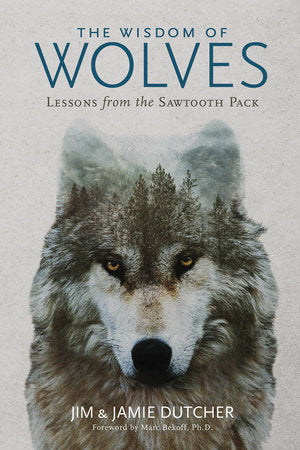 Wisdom of Wolves, The Hardcover by Jim Dutcher