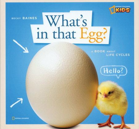 ZigZag: What's in That Egg? Hardcover by Becky Baines