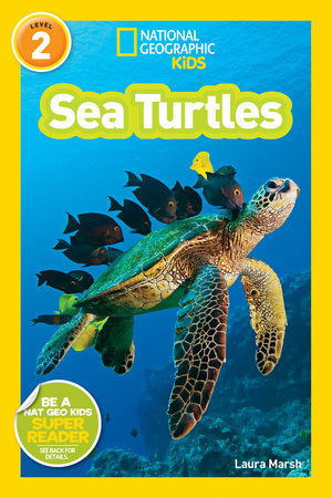 Sea Turtles (National Geographic Kids Readers, Level 2) Paperback by Laura Marsh