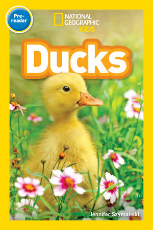 Ducks (National Geographic Kids Readers, Pre-Reader) Paperback by Jennifer Szymanski