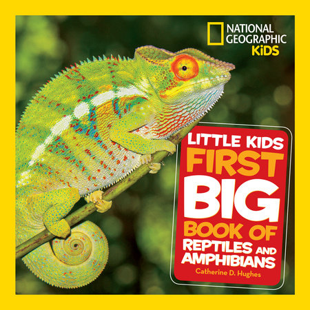 National Geographic Little Kids First Big Book of Reptiles and Amphibians Hardcover by Catherine D. Hughes