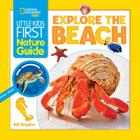 Little Kids First Nature Guide: Explore the Beach Paperback by Alli Brydon