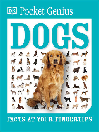 Pocket Genius Dogs Paperback by DK