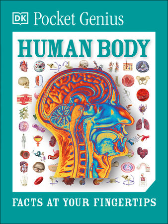 Pocket Genius Human Body Paperback by DK