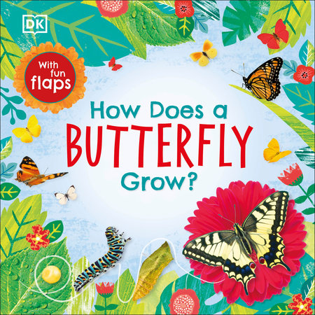 How Does a Butterfly Grow? Board Book by DK