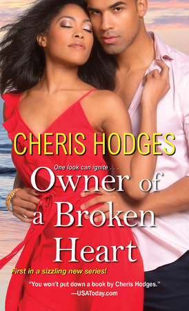 Owner of a Broken Heart Paperback by Cheris Hodges