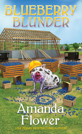 Blueberry Blunder Paperback by Amanda Flower
