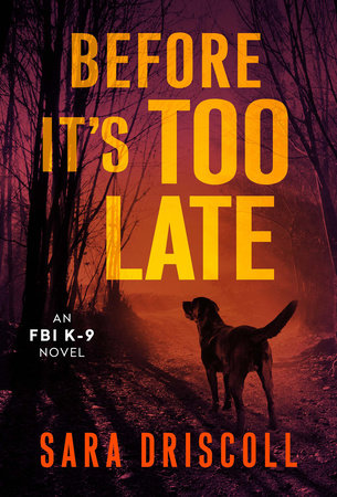 Before It's Too Late Paperback by Sara Driscoll