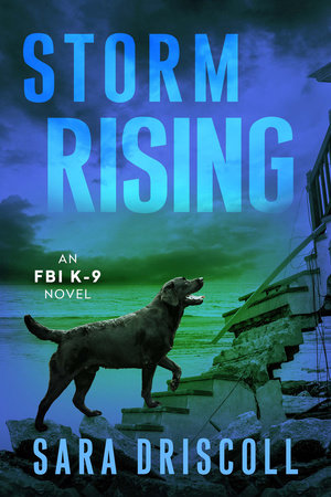 Storm Rising Paperback by Sara Driscoll