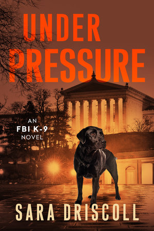Under Pressure Paperback by Sara Driscoll