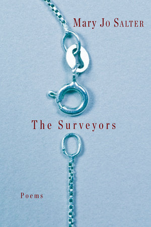 The Surveyors Hardcover by Mary Jo Salter